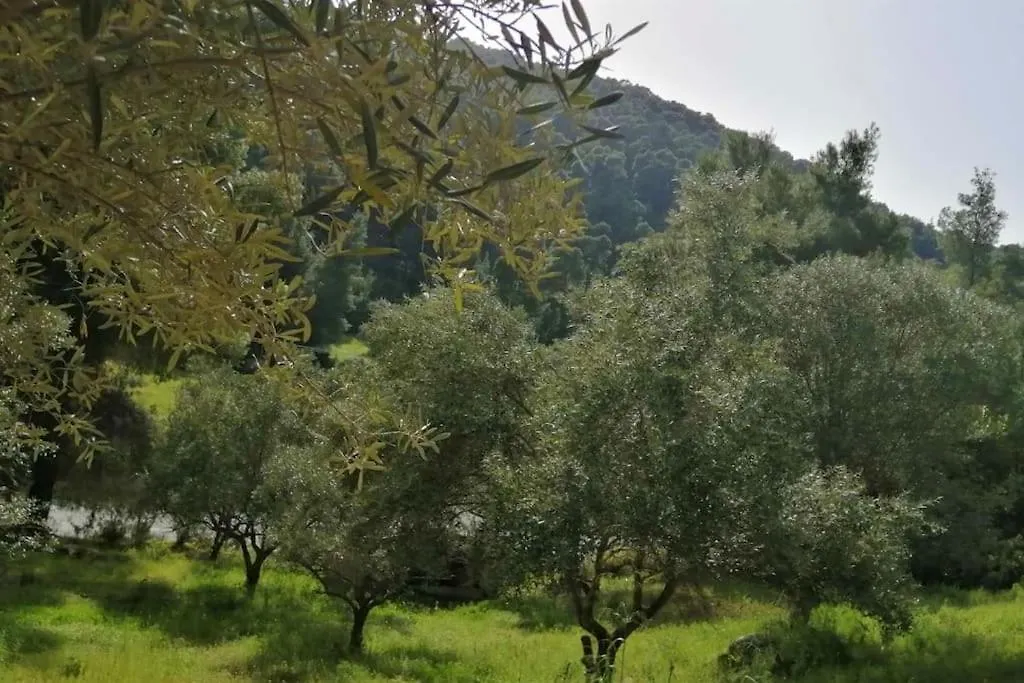 Willa Wood & Stone Dream View House A Diaporos 0*,  Grecja